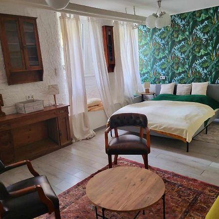 דירות בודפשט Cosy Apartman By The Castle מראה חיצוני תמונה